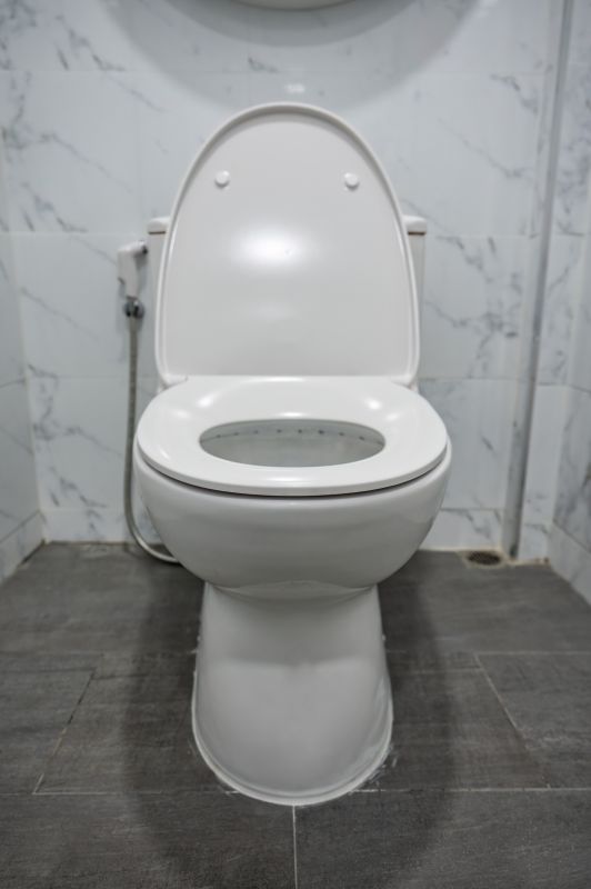 Bidet Repair Service in Denver, CO